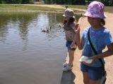 our girls feeding the geese and fish