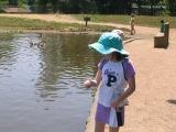 our girls feeding the geese and fish