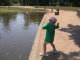 our girls feeding the geese and fish