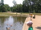 our girls feeding the geese and fish