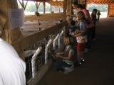 troop members feeding the animals