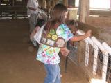 troop members feeding the animals