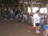 troop members feeding the animals